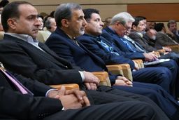 سل؛ سوغات مهاجران همسایه