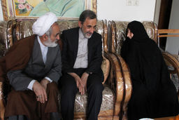 درددل‌های مادر شهید خرازی با دکتر ولایتی