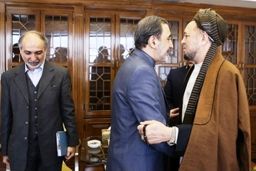 دیدار مقامات افغانستانی و هندی با دکتر ولایتی