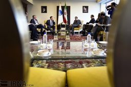 دیدار نماینده پارلمان آلمان با دکتر ولایتی/عکس