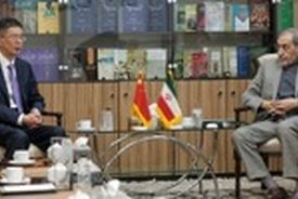 دیدار دکتر ولایتی با سفیر جدید چین در ایران